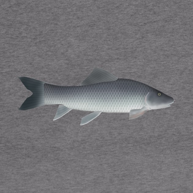 African Carp by FishFolkArt